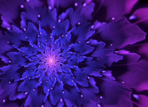 紫色分形花
