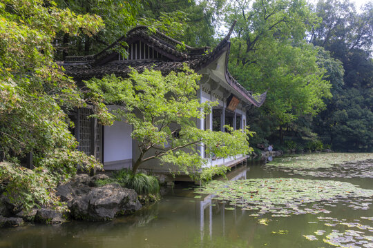 杭州植物园山水园
