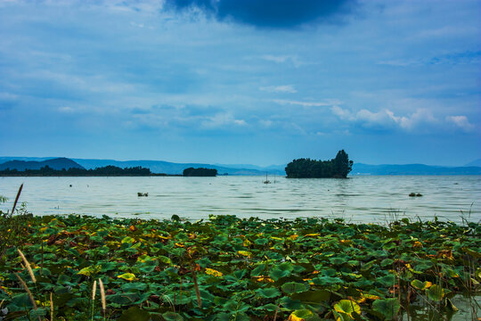 云南昆明滇池湿地