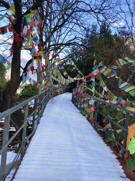 山上雪道