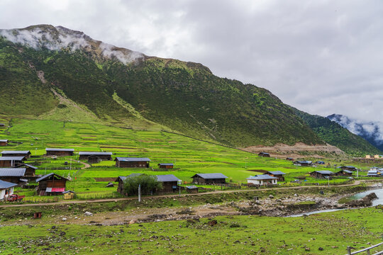 西藏梅里雪山和高原牧场