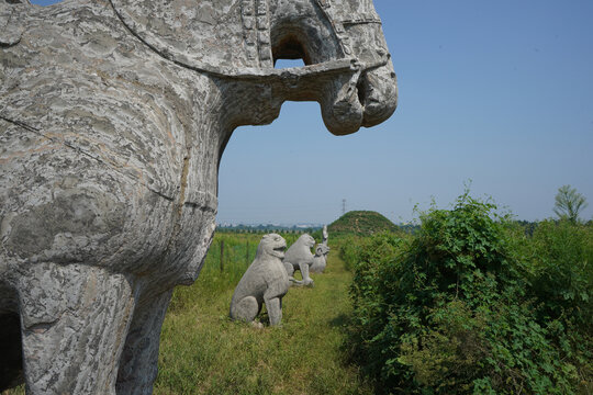 河南巩义