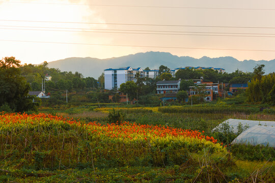 乡村风景