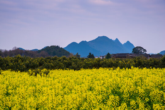 贵州万峰林