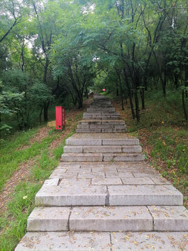 登山道台阶