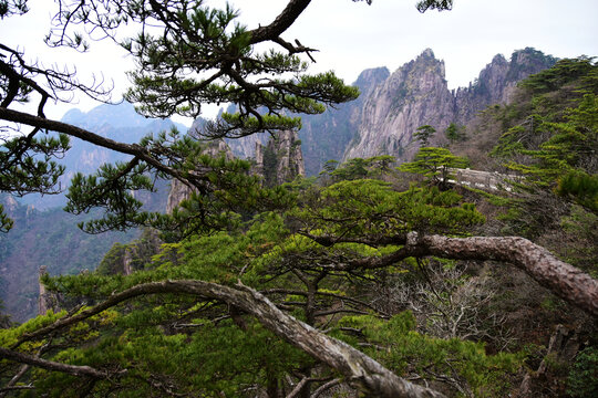 黄山景色