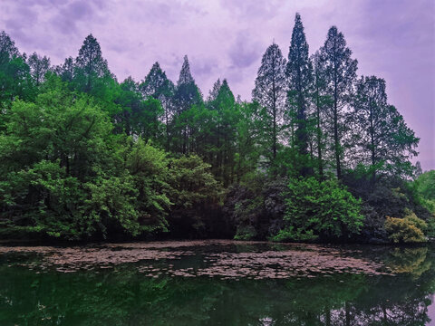 杭州烟雨西湖景区景区文化遗产