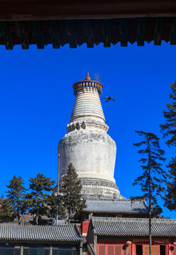 五台山显通寺塔院寺大白塔