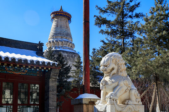 五台山大白塔显通寺塔院寺