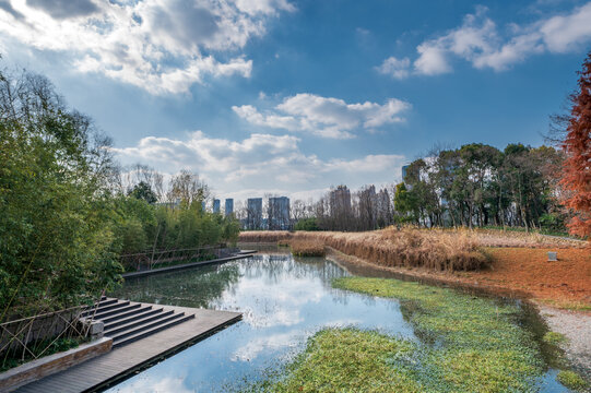 上海后滩湿地公园