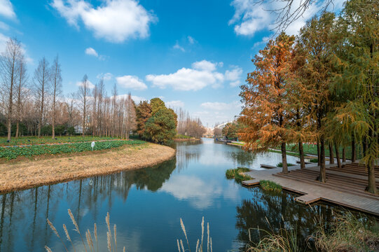 上海后滩湿地公园河畔美景