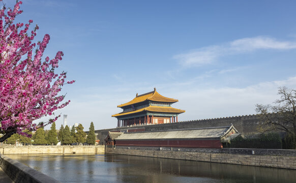 故宫护城河桃花