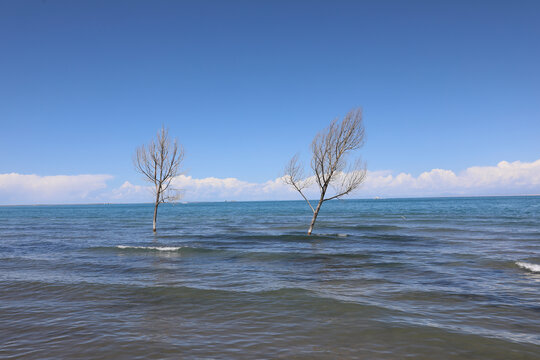 青海湖