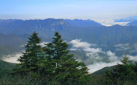 云山雾海