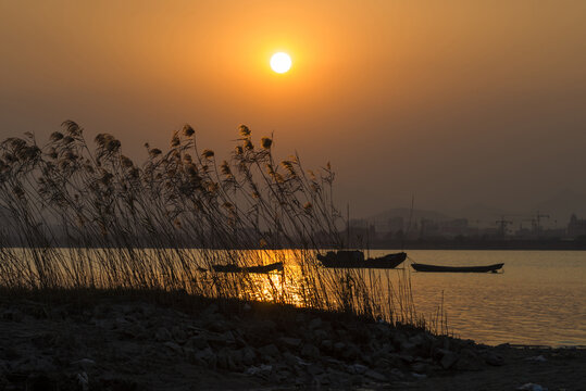 夕阳黄昏芦苇渔船