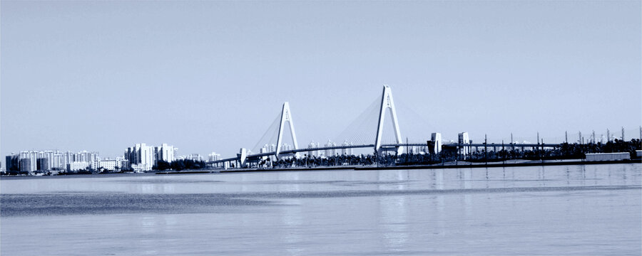 海口世纪大桥