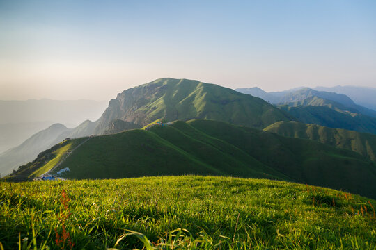 山顶大草地