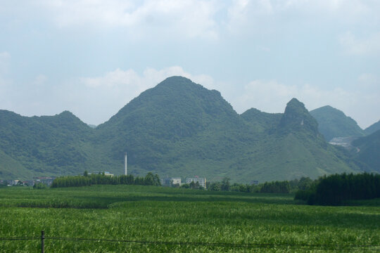 青山绿水