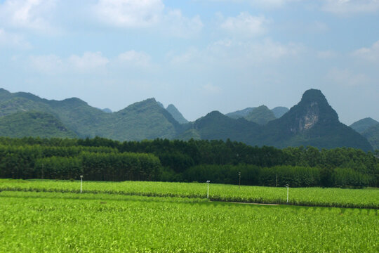 自然风光