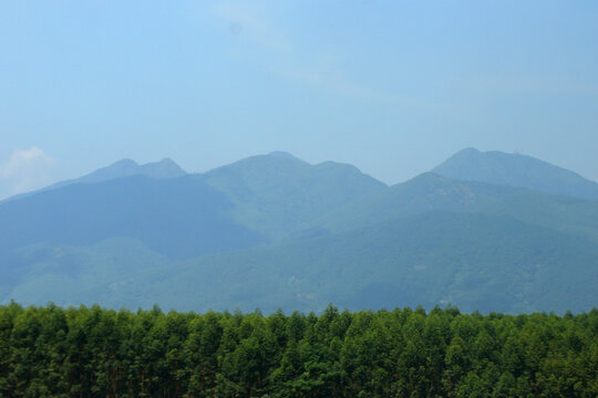 青山