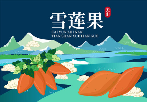 雪莲果包装