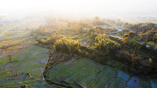 航拍塔川美景