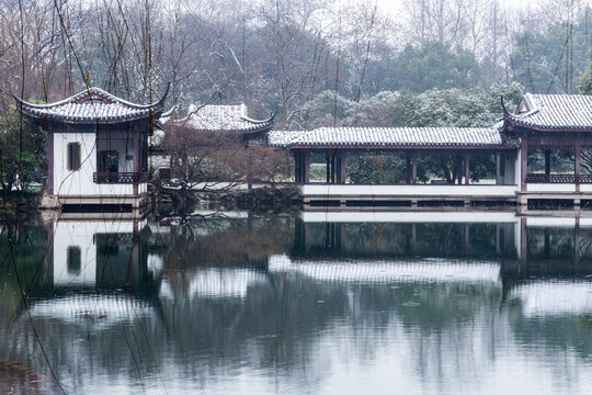 杭州曲院风荷雪韵