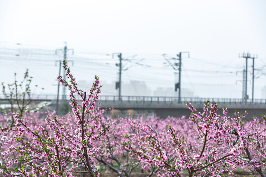 铁路元素素材