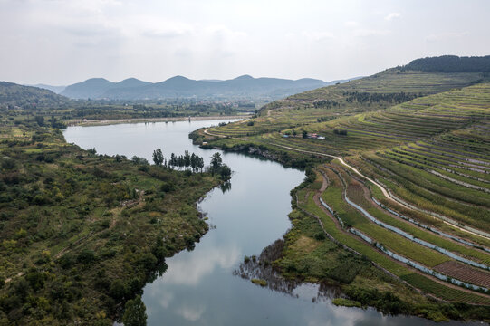 荒山变梯田