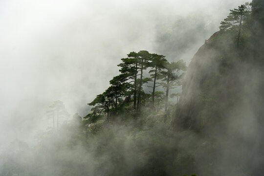 水墨黄山