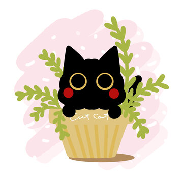 盆栽小黑猫