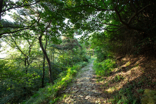 虞山小路