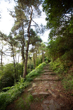 虞山小路