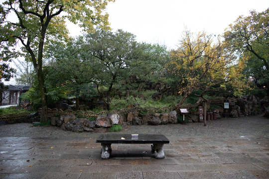 阴雨藕园