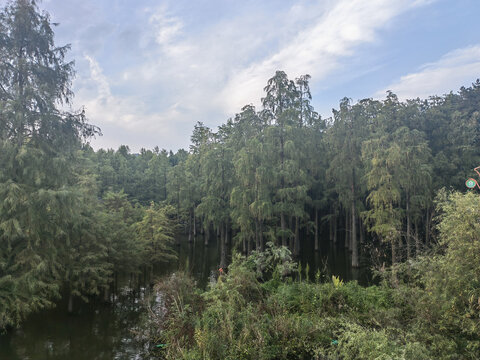 杭州青山湖