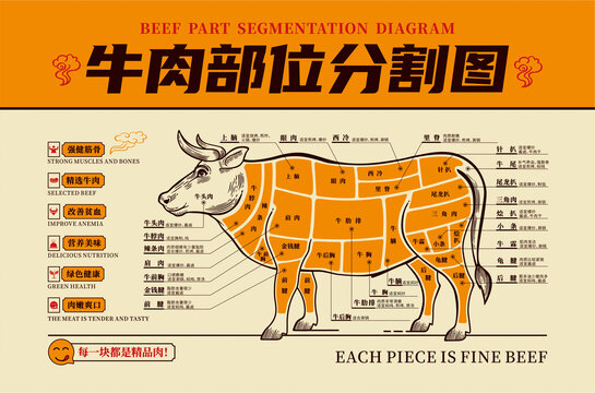 牛肉部位图