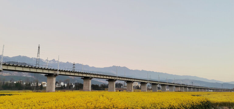 油菜花高铁