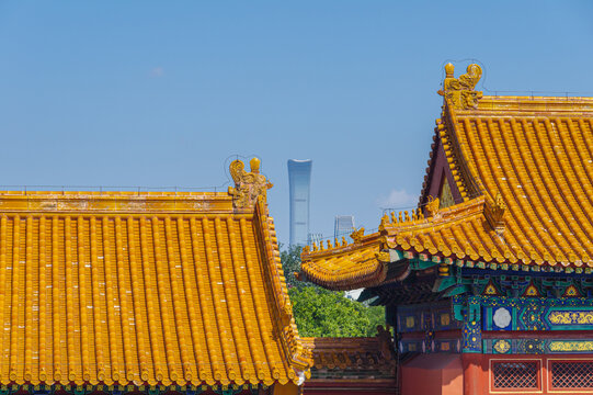 中国北京故宫博物院风光