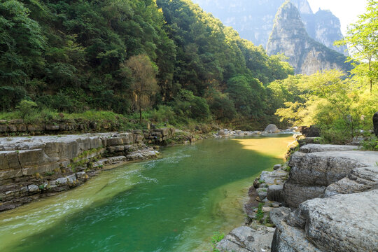 太行山红豆杉大峡谷