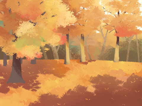 秋天风景黄色树林