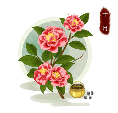 十二月花之茶花手绘插画