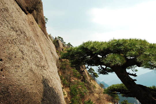 安徽黄山旅游风景区