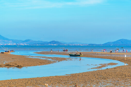 海湾滩涂赶海