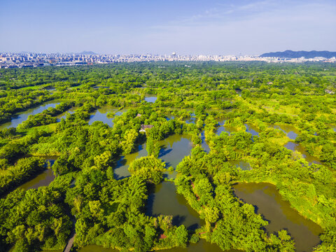 5A风景区西溪国家湿地公园