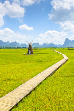 广西柳城古砦稻花飘香景区