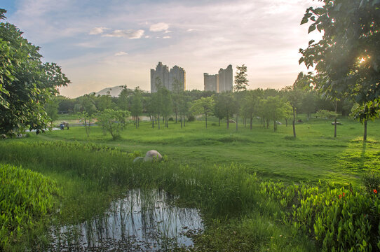 公园绿地傍晚风景