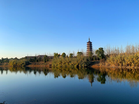 高旻寺