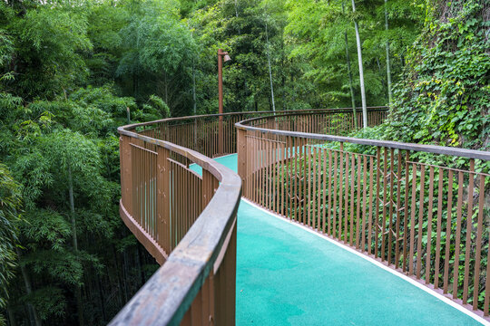 莫干山风景区环山栈道