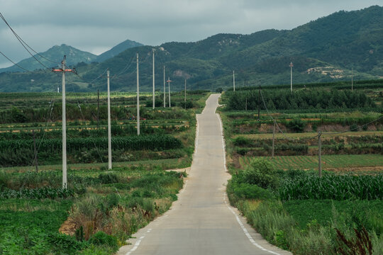 乡村道路