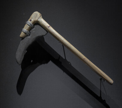良渚文化石镰刀